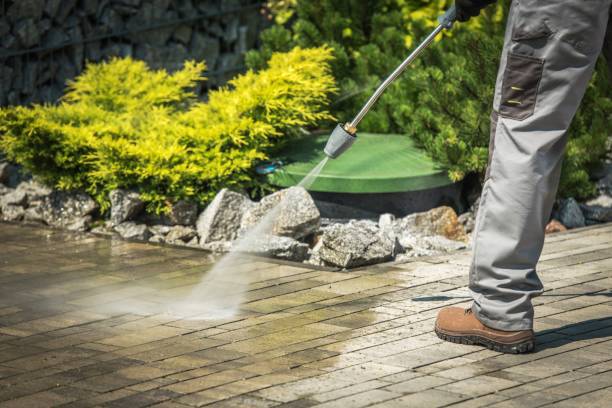 Best Fence Cleaning  in Gresham, OR